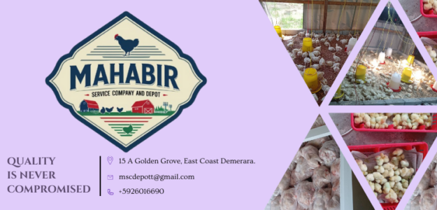 Mahabir Service Company and Depot