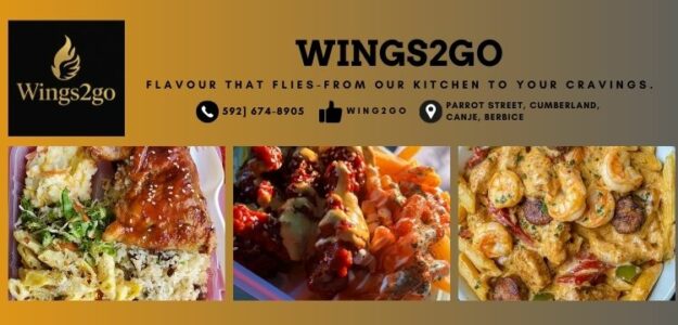 Wings2go