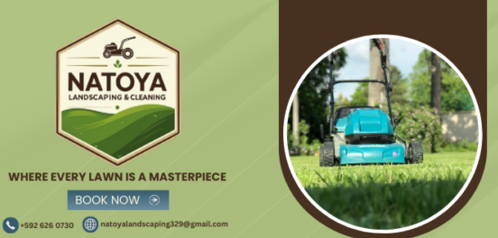 Natoya Landscaping & cleaning